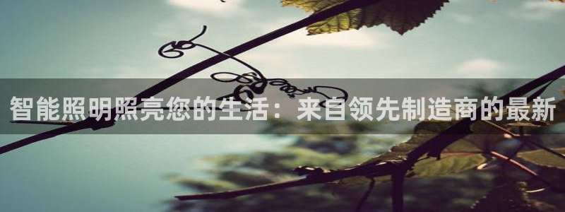 云顶集团市值