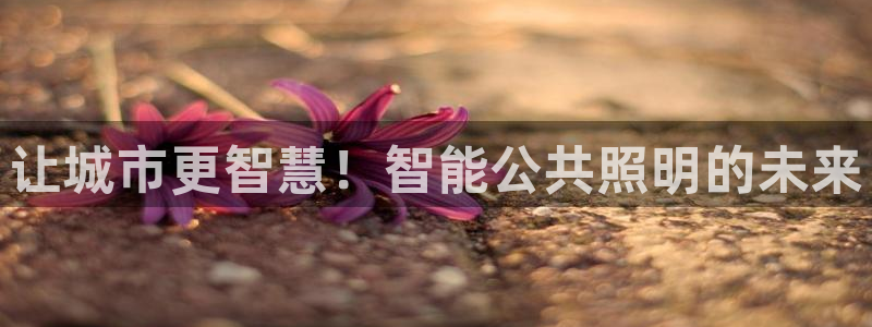 云顶网站是多少