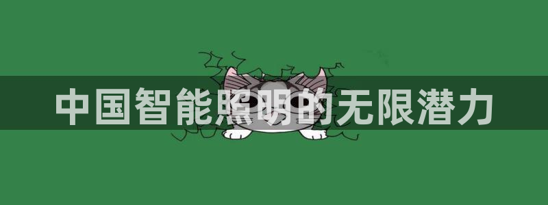云顶集团林志华简介
