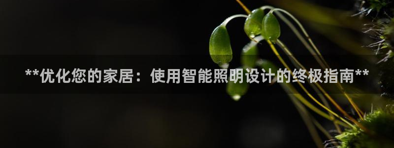 云顶国际mg