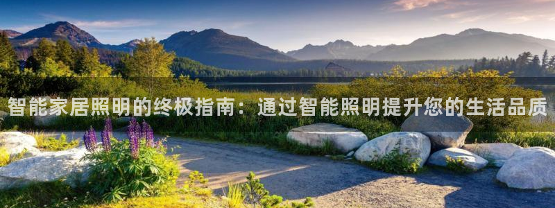 云顶集团网站多少