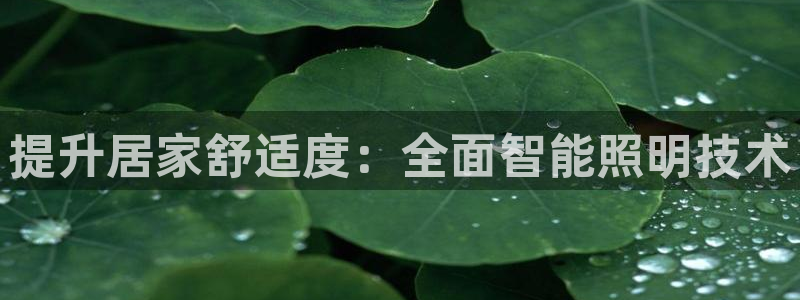 云顶zhi