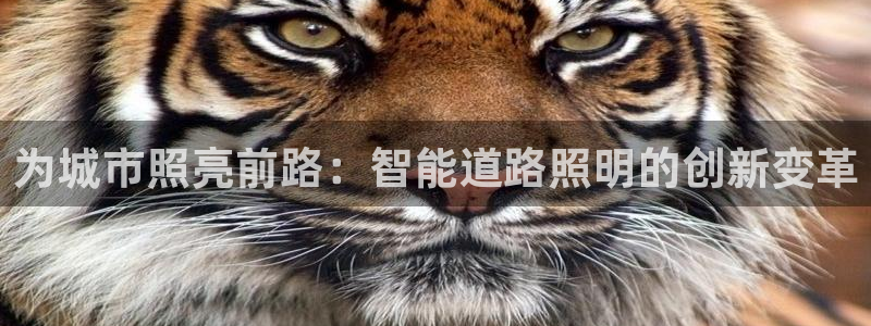 云顶国际赌彩公司下载