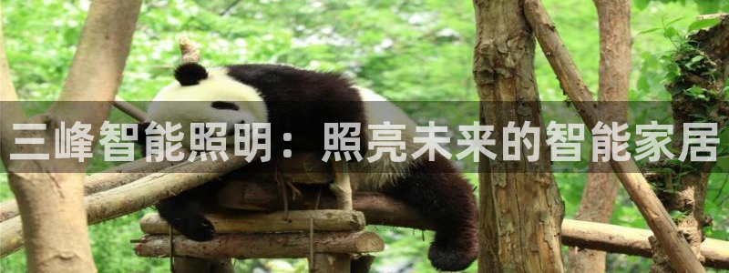 手游云顶国际服下载