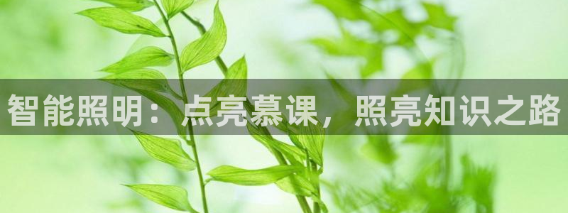 云顶国际官网官方网站