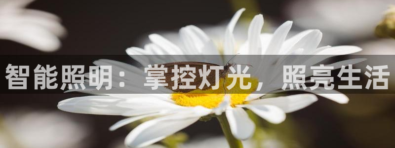 云顶国际服注册流程