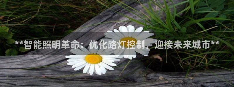 云顶国际酒店老板简介
