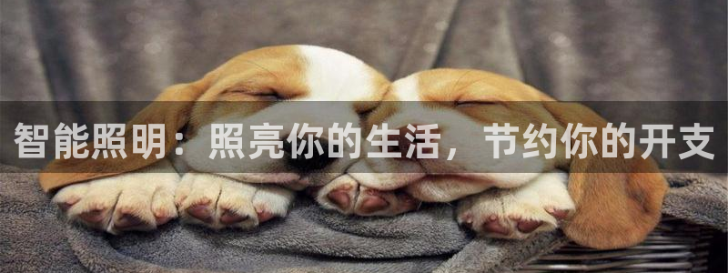 云顶高中国际部学费