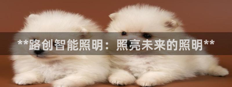 云顶集团下载app