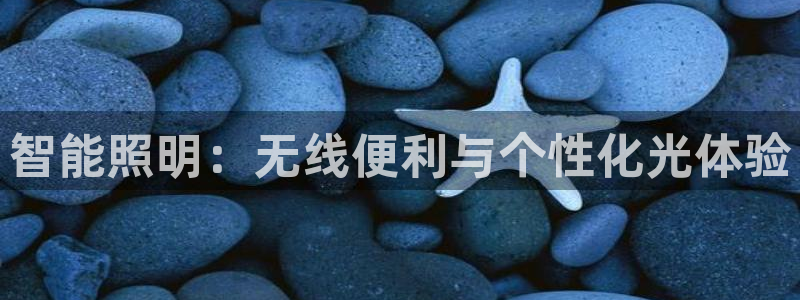 云顶国际百度百科