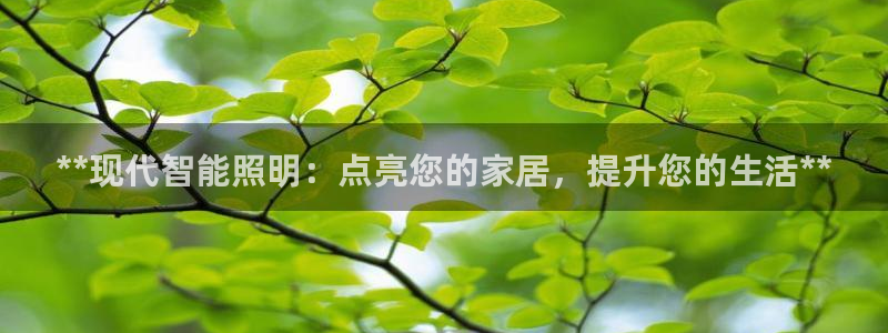 云顶国际酒店老板叫什么