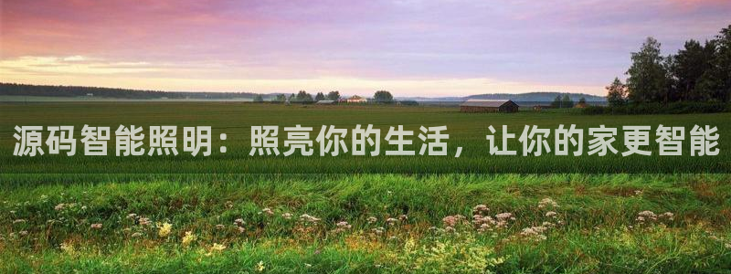 lol云顶国际服