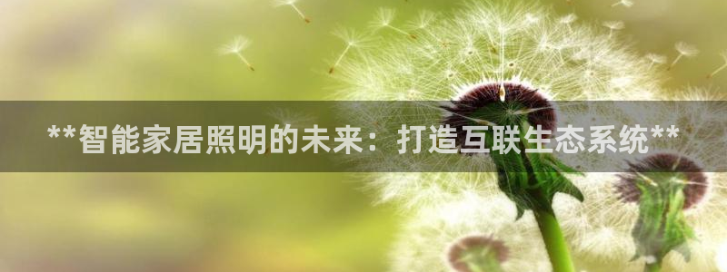 云顶集团网投领跑者