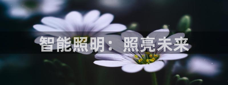 云顶国际软装公司怎么样