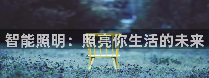 云顶国际服是哪个服
