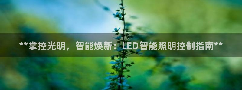 云顶国际商业广场A座101