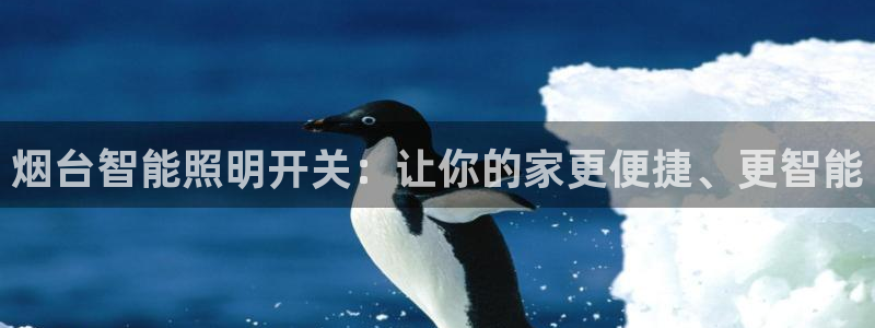 云顶国际商业广场a座101室