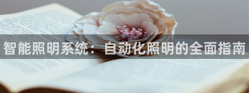 云顶集团公司