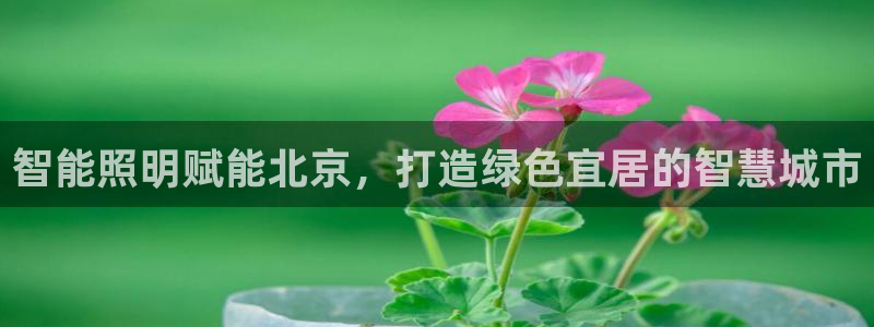 云顶集团公司董事长是谁