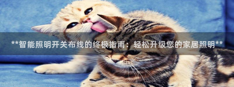 云顶国际怎么样