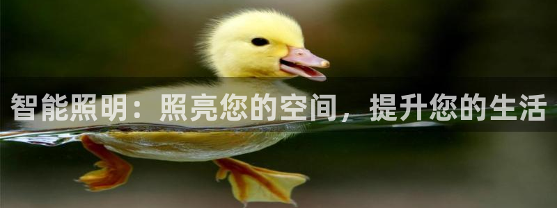 云顶国际旅行社怎么样