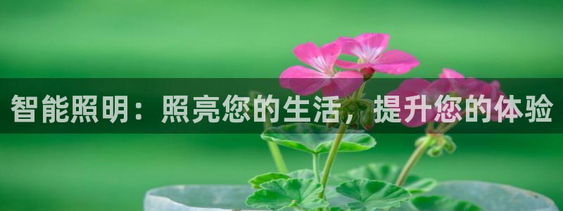 云顶集团在中国有投资吗?