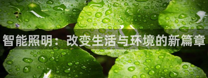 云顶国际mg