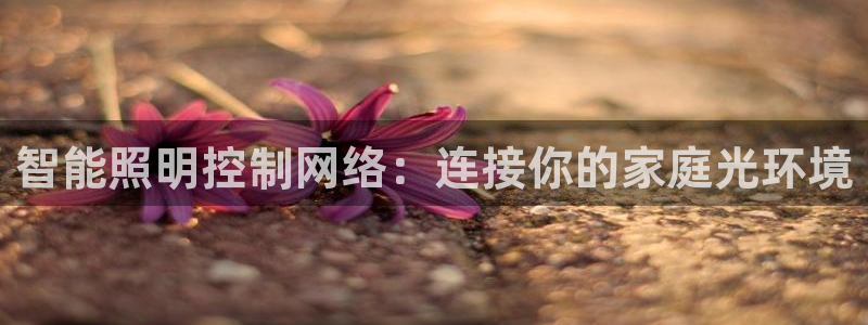 云顶集团公司