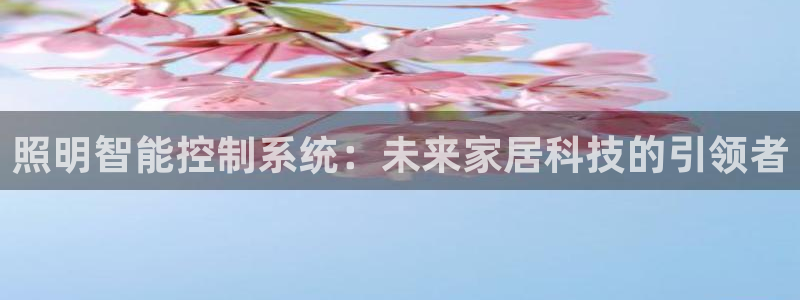 云顶国际服更新时间是多久
