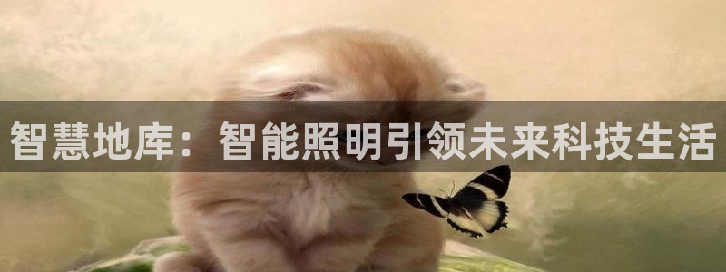 云顶国际服s10什么时候更新