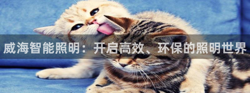 官方云顶国际网站下载
