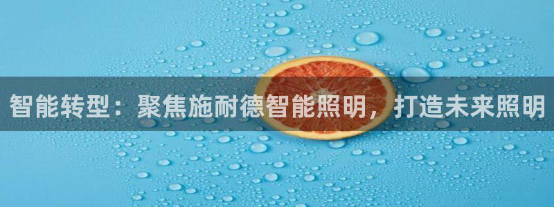 云顶线路检测 官方网站：智能转型：聚焦施