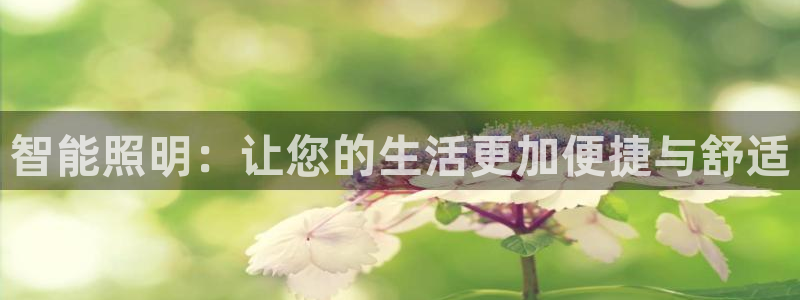 yd云顶集团app下载