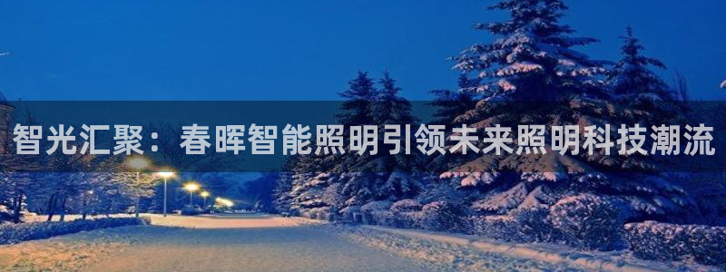 yd云顶国际