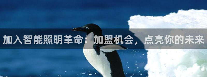 云顶集团高管