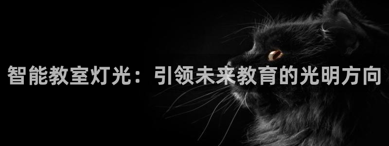 云顶国际集团发展有限公司