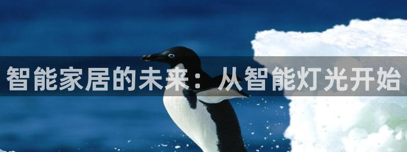云顶国际集团发展有限公司