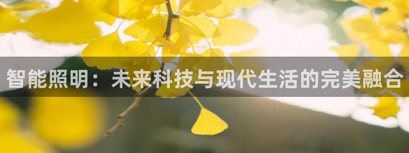 云顶国际是做什么的：智能照明：未来科技与
