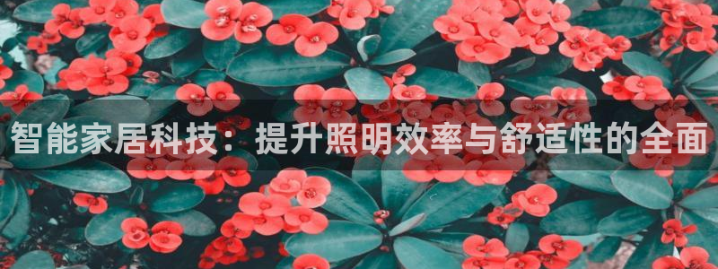 云顶国际商业广场 停车