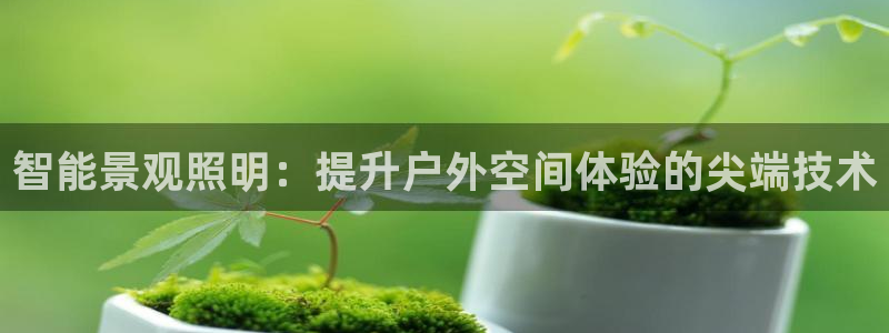 云顶国际酒店几星级的