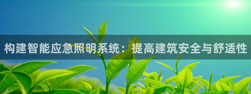 云顶国际官方网站下载手机版