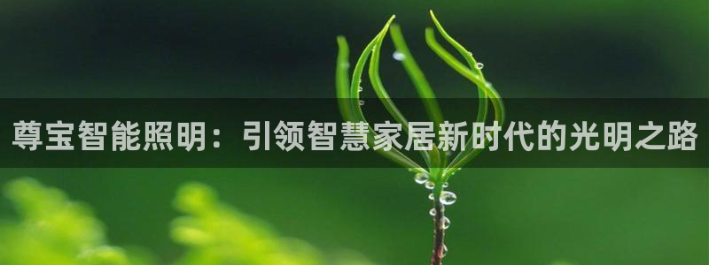 云顶国际唯一官方网站是哪个：尊宝智能照明