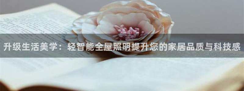 云顶网络游戏平台
