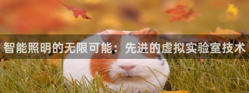 云顶集团官网电话