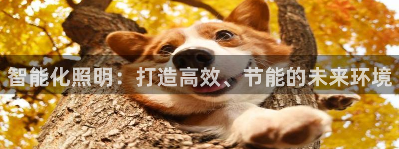 云顶集团老总子女：智能化照明：打造高效、