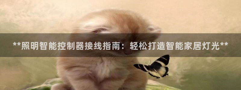 云顶国际培训中心官网