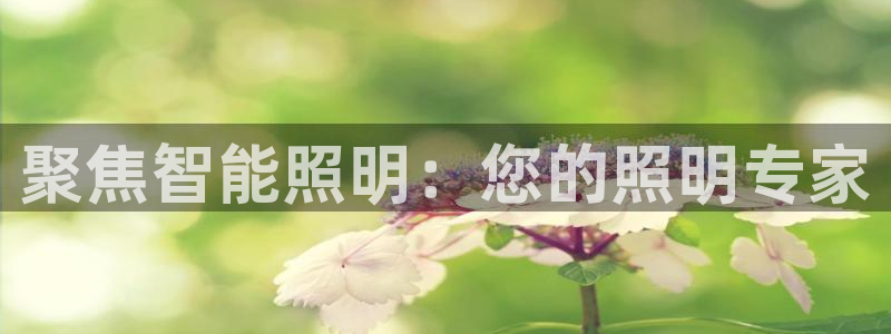 官方云顶国际网站下载