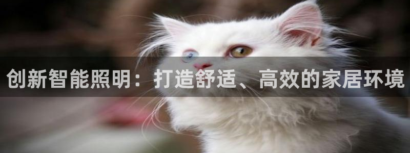 云顶国际下载地址