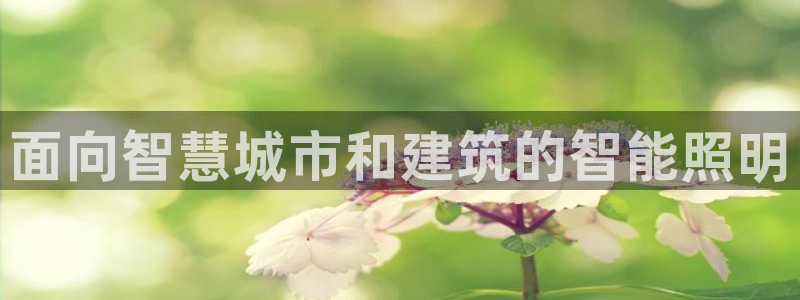 云顶国际公馆二手房